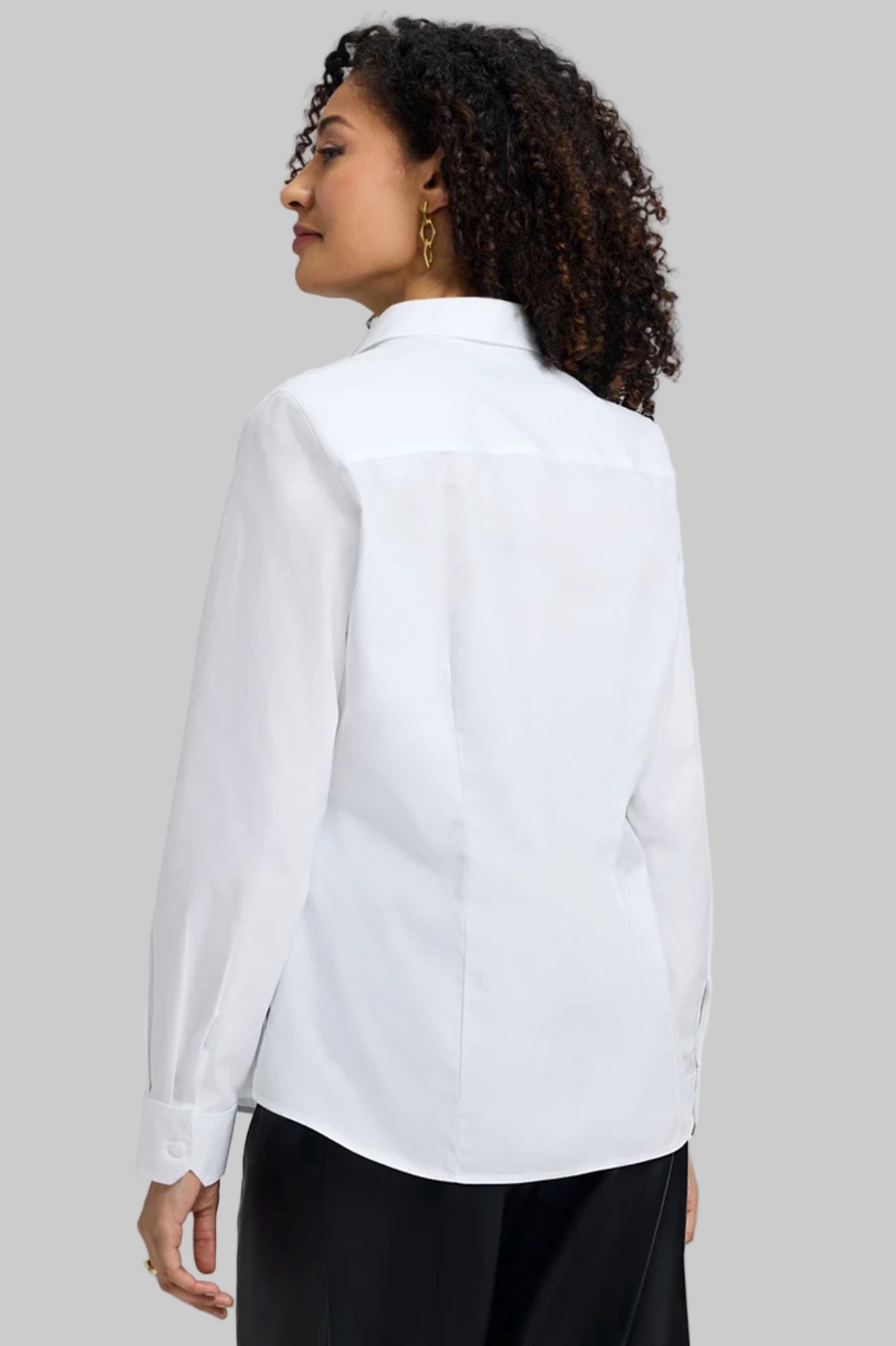 Dianna No Iron Pinpoint Long Sleeve Shirt