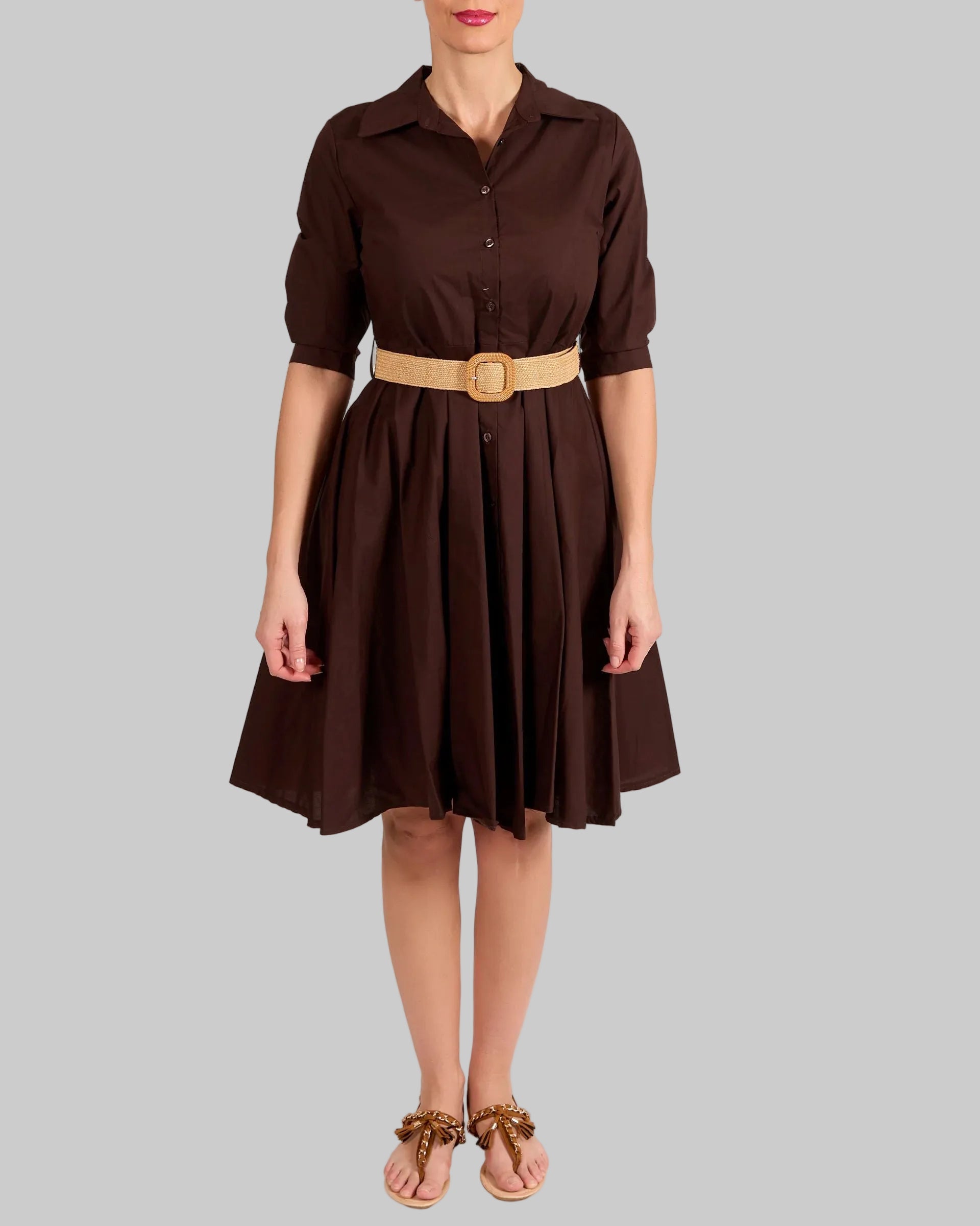Espresso Button Front Structured Collar Belted Dress