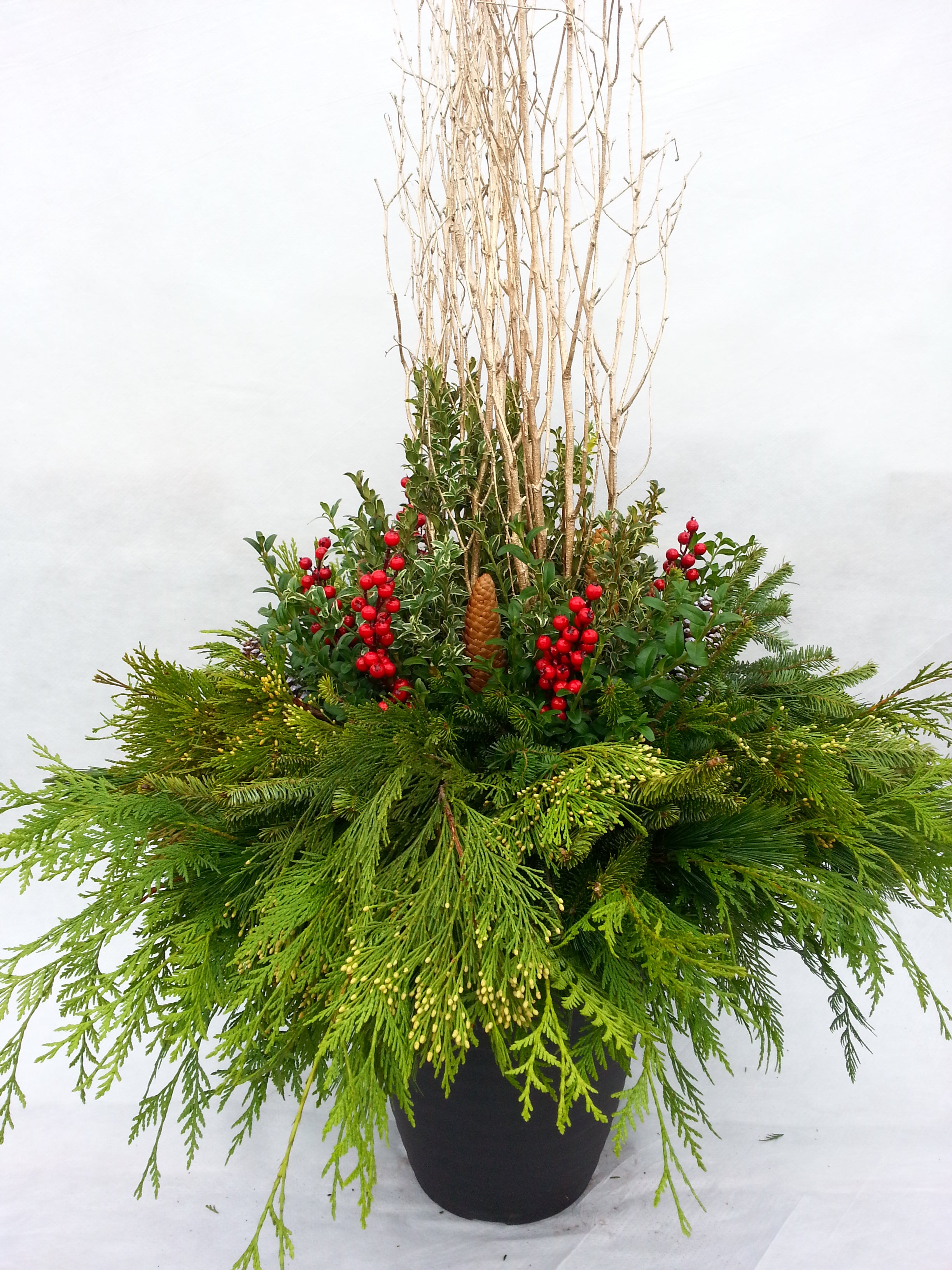 Winter Arrangement Workshop November 16 @12PM