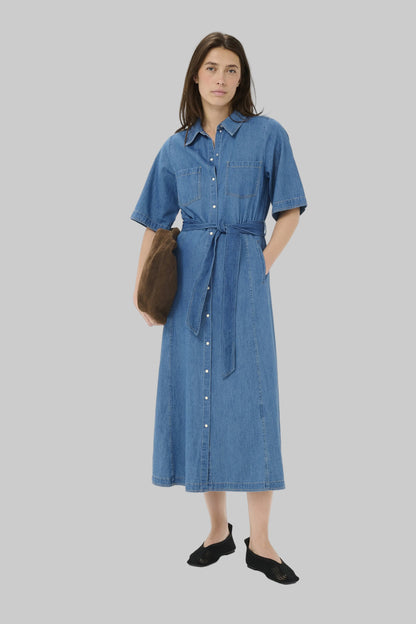Ama PW Dress