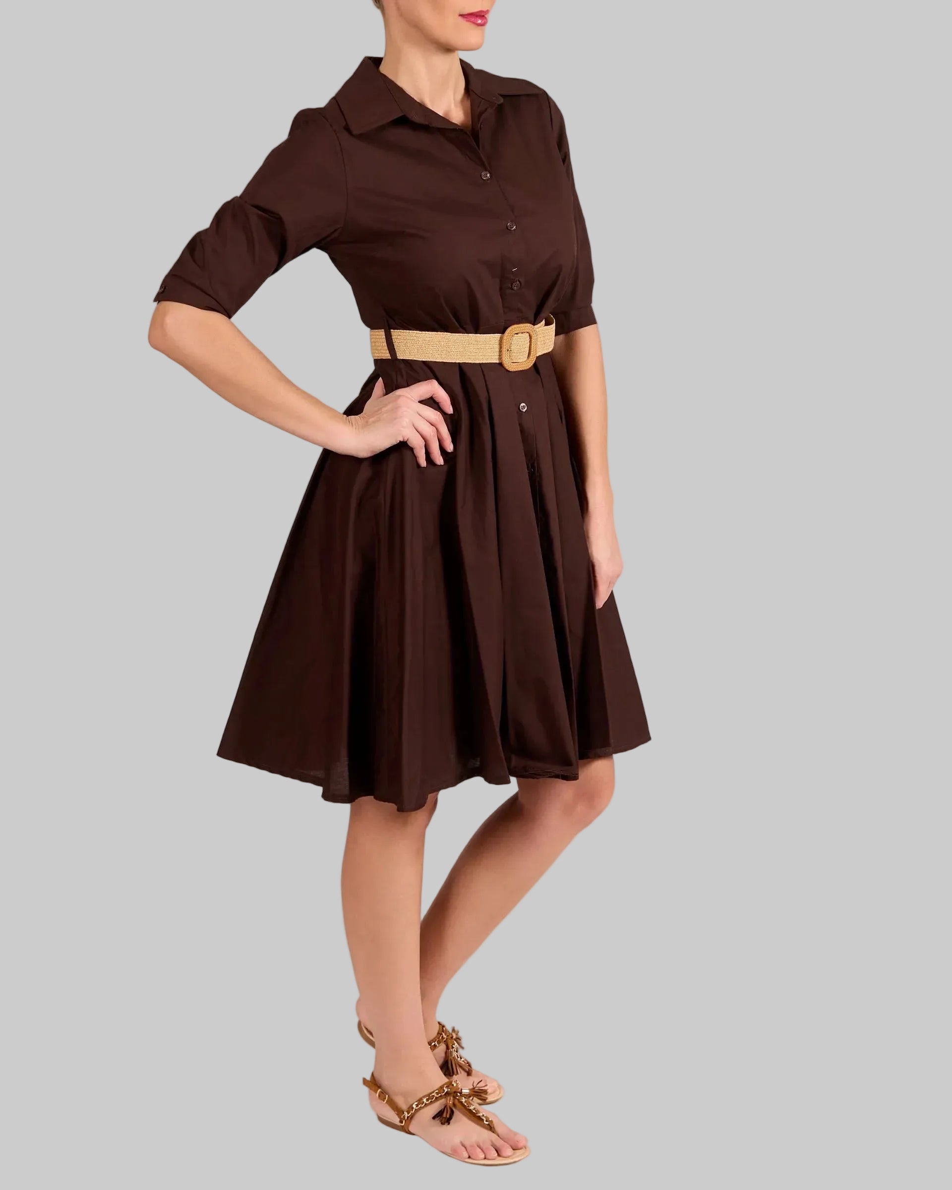 Espresso Button Front Structured Collar Belted  Dress