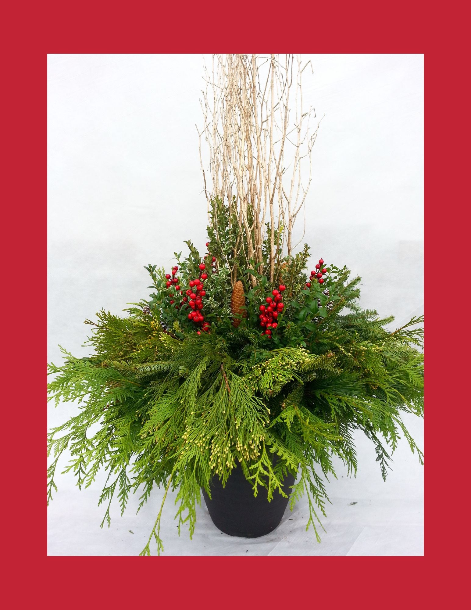 Winter Arrangement Workshop November 23 @12PM