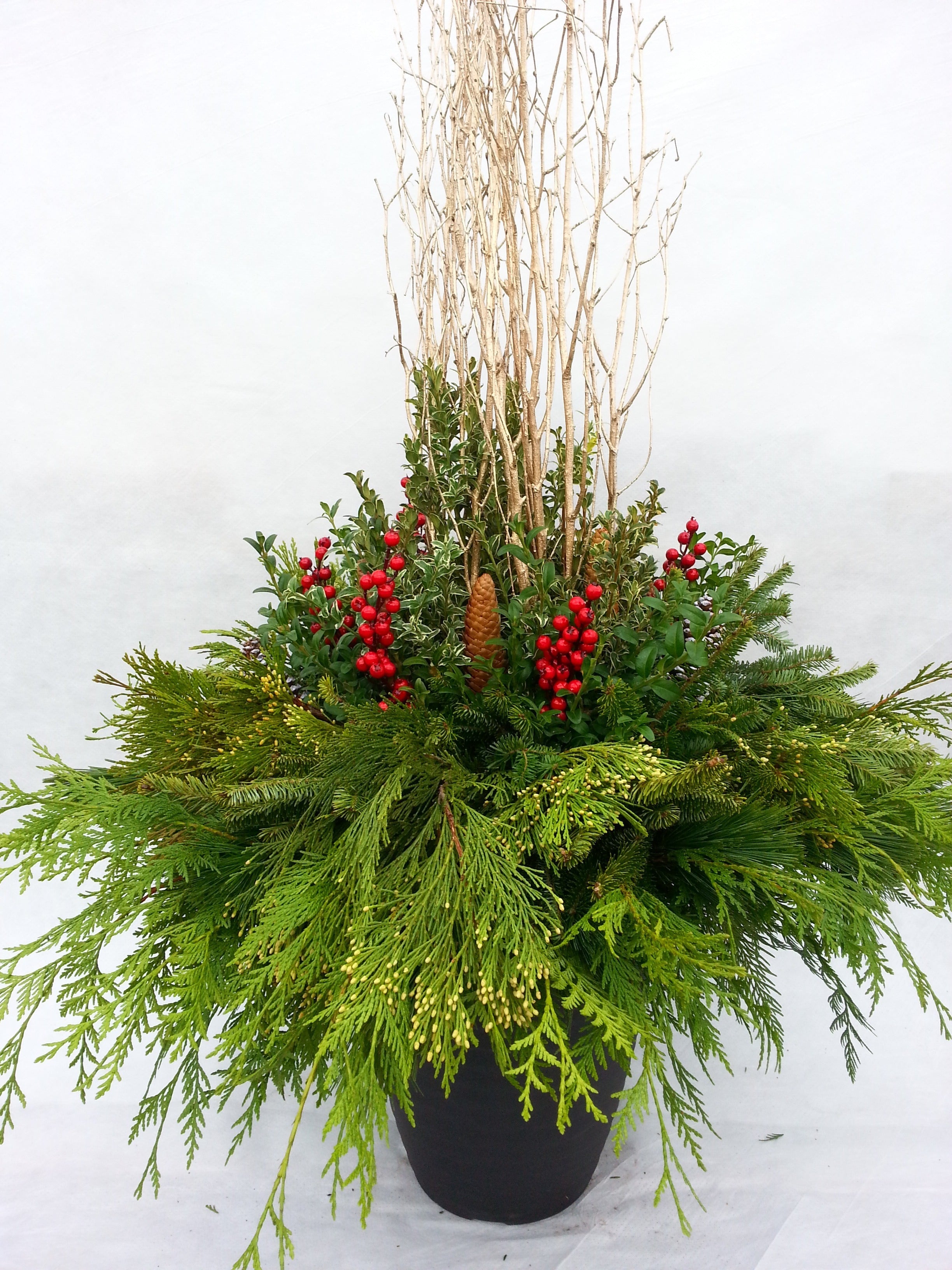 Winter Arrangement Workshop November 24 @12PM